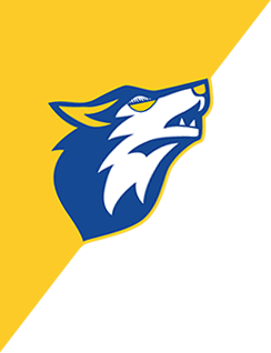 Logo SAHPH